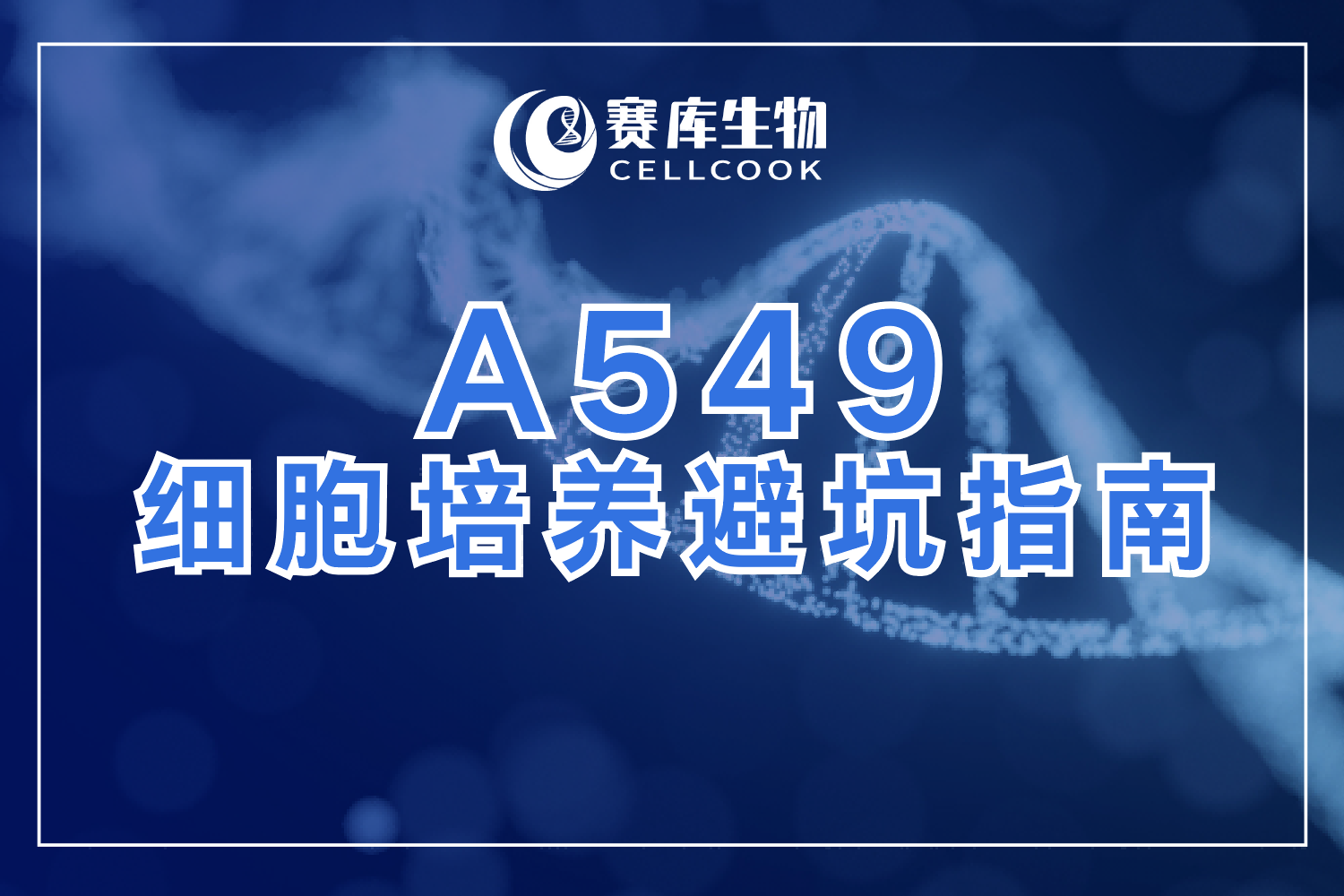 肺癌研究必备！A549细胞培养避坑指南&高分文献