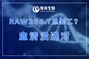 为啥你的RAW264.7总“罢工”？可能是血清没选对！