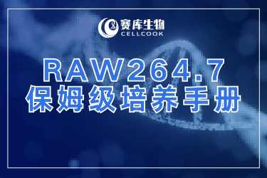 被RAW264.7 细胞搞崩溃？保姆级培养手册来啦