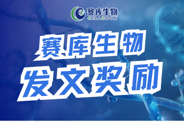 发文奖励