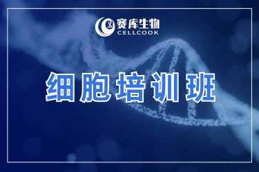 广中医&赛库生物细胞实验培训，助力科研新人从0到1弯道超车！