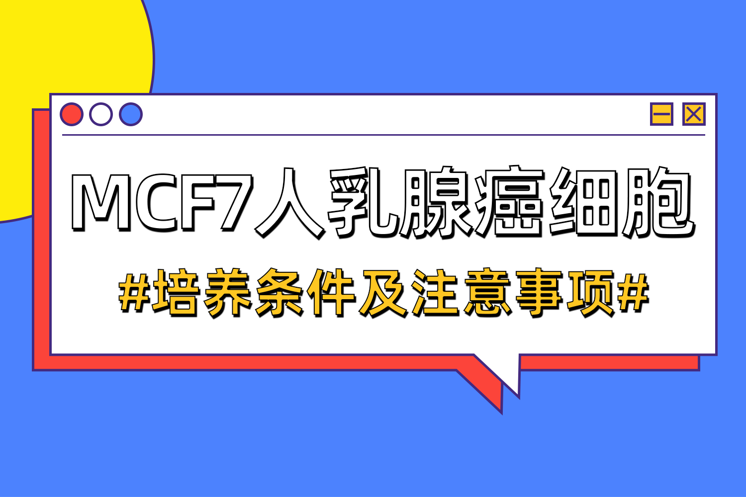 MCF7人乳腺癌細胞培養(yǎng)條件及注意事項