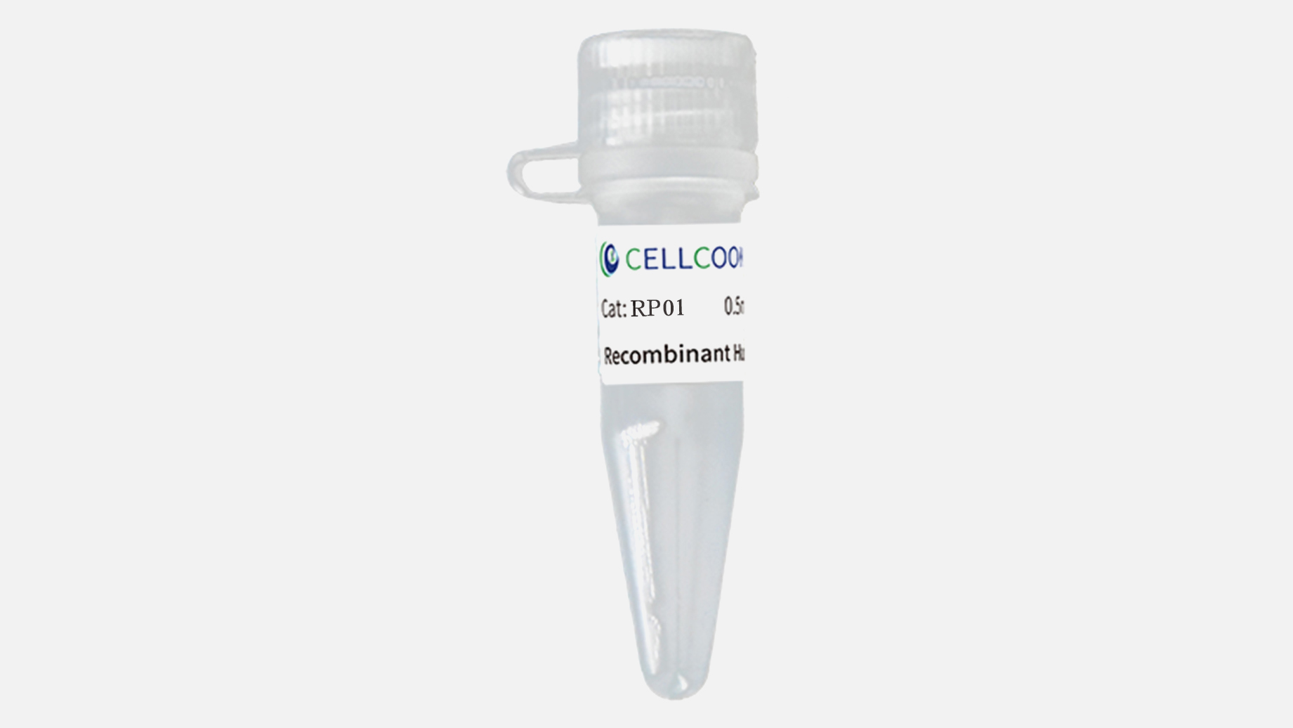 Human R-Spondin1 Recombinant Protein