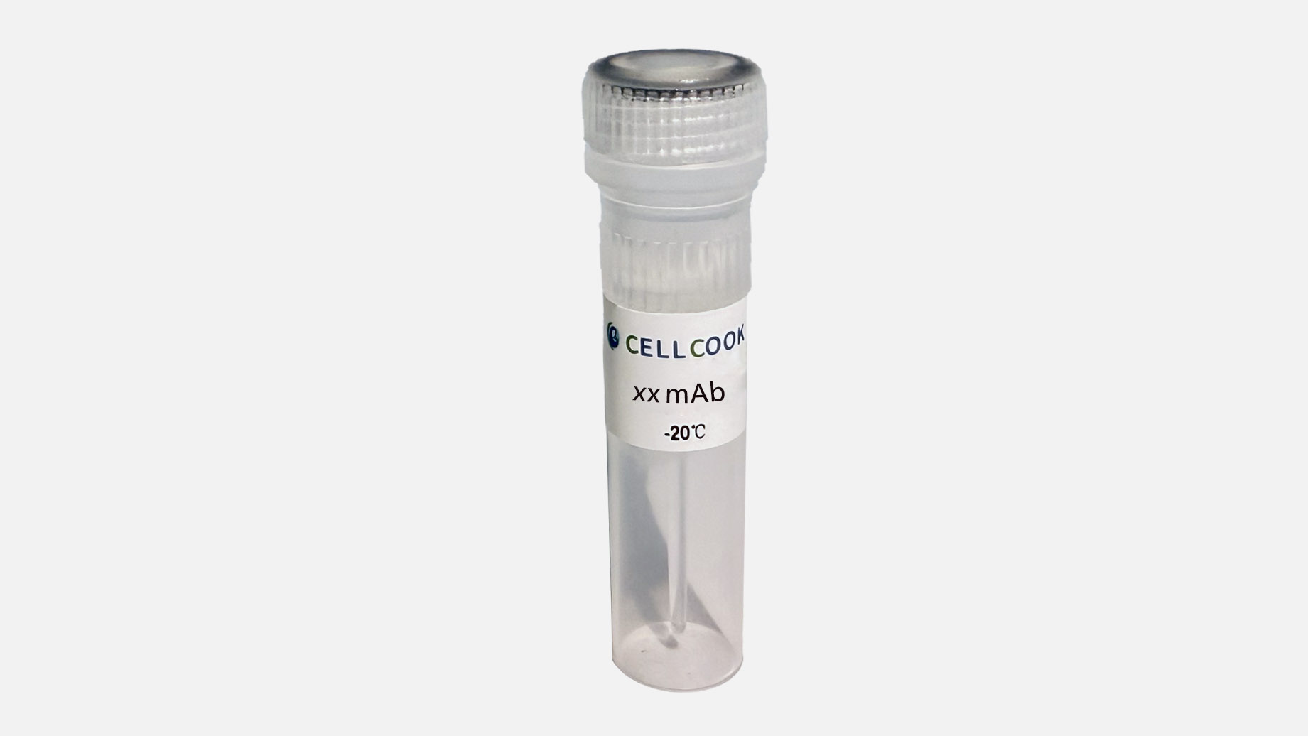 Lactate Dehydrogenase   rabbit mAb