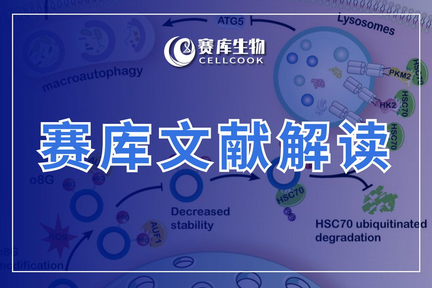 賽庫(kù)高分引用文獻(xiàn) | 癌癥治療新思路