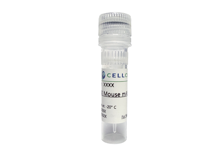 Cytokeratin 8 (ABT536) Mouse mAb